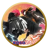 xoso247